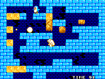 Penguin Land on Master System